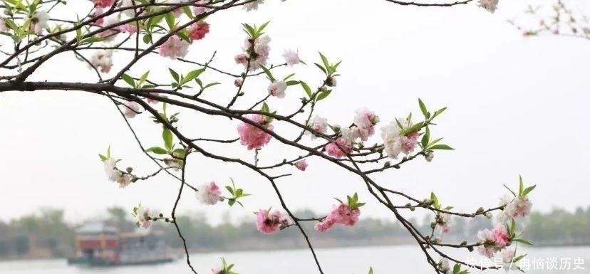 人生|《菜根谭》:凡事退一步,人生更开阔