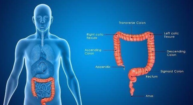 癌症|不论男女,排便时有3个“表现”,是癌细胞想“活动”!