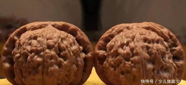 尺寸|文玩核桃盘玩,女士该如何选择!