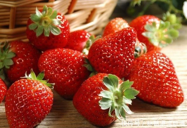 发育|天然的“叶酸”找到了,孕妇平时敞开吃,或对胎儿的发育有好处