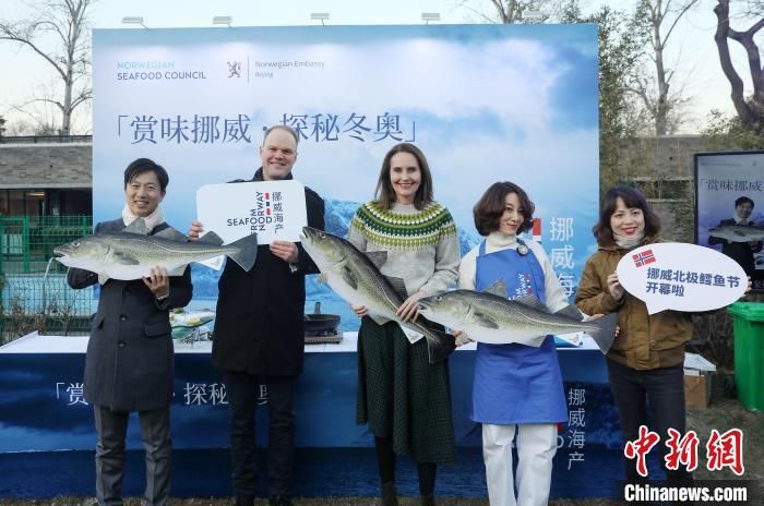 中国消费者|第二届挪威北极鳕鱼节在京启幕 将挪威海产介绍给更多中国消费者