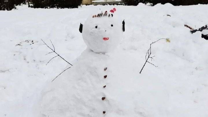 鲁东大学这场雪！太！大！了