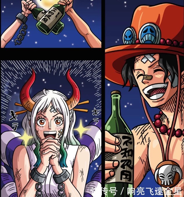 马尔科|海贼王1000话御田航海日记内容曝光，超新星齐聚屋顶，九侠被罗转移v