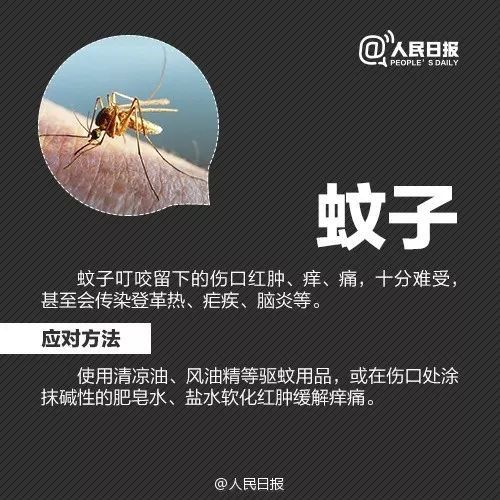 恙虫|江西男子被它叮了一下，紧急抢救