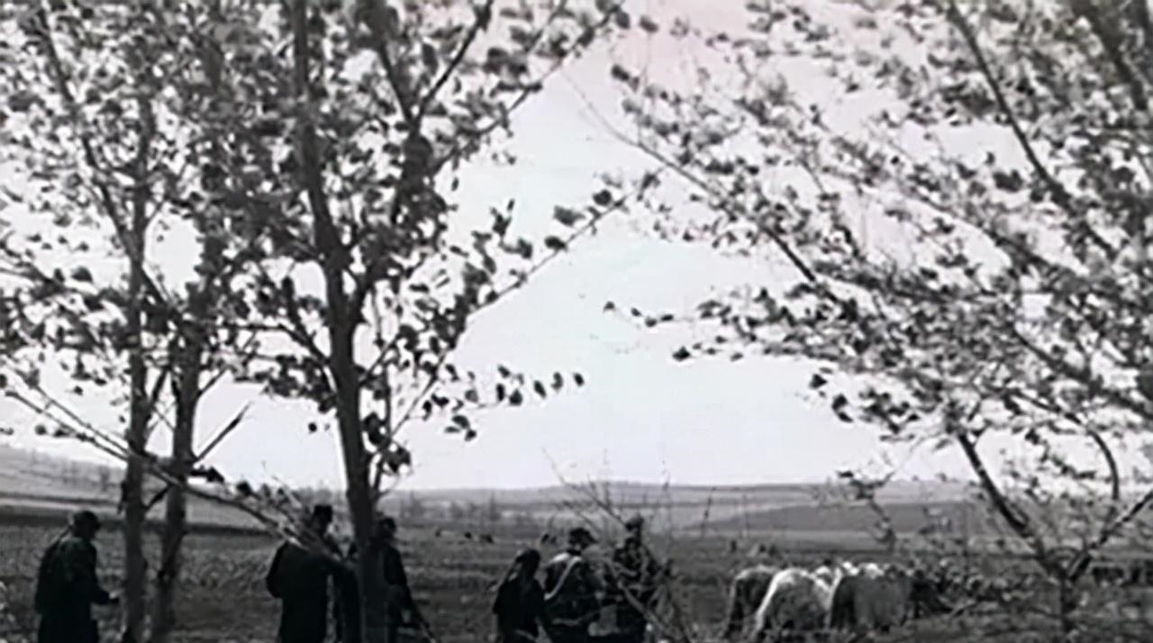 20岁上海女知青为爱留守,嫁入农村朝鲜族家庭,老年直言从不后悔