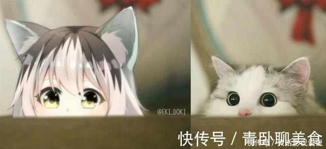 万物皆可“拟人化”,躲过可爱的舰娘和机车娘,却羡慕猫狗的爱情