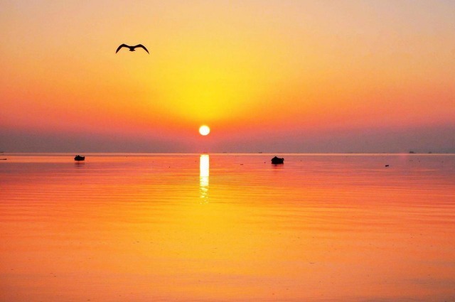 逆龄 “最年轻丈母娘”走红,新郎成人生赢家,新娘却全程尴尬