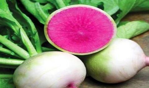 食物|想长寿要会吃,平时多吃的食物,润肠通便,排毒养颜,排毒抗衰