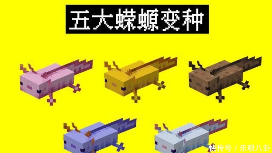 山羊角 1 17新生物篇 Minecraft 蝾螈 山羊 发光鱿鱼有什么巨大作用 游戏 游戏 精品游戏指南