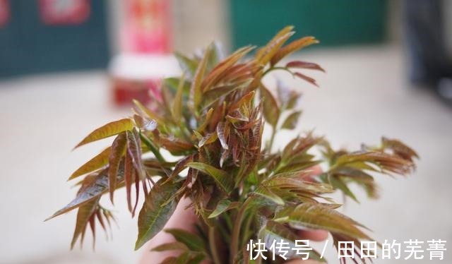 美容养颜|秋季到了,多吃三种食物,美容养颜,滋润肌肤,好处多多!