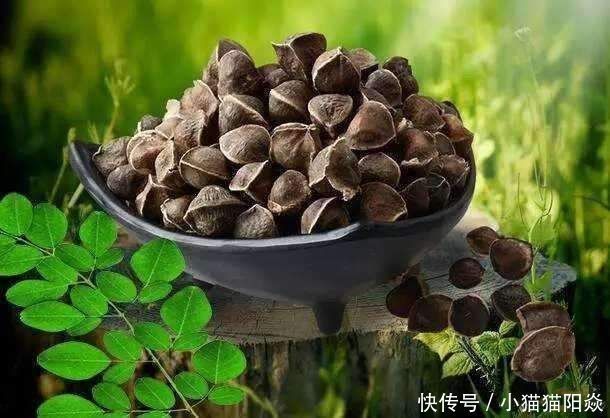 肝细胞|天然“强肝剂”找到了,经常喝一点,养肝排毒,肝脏一天比一天好