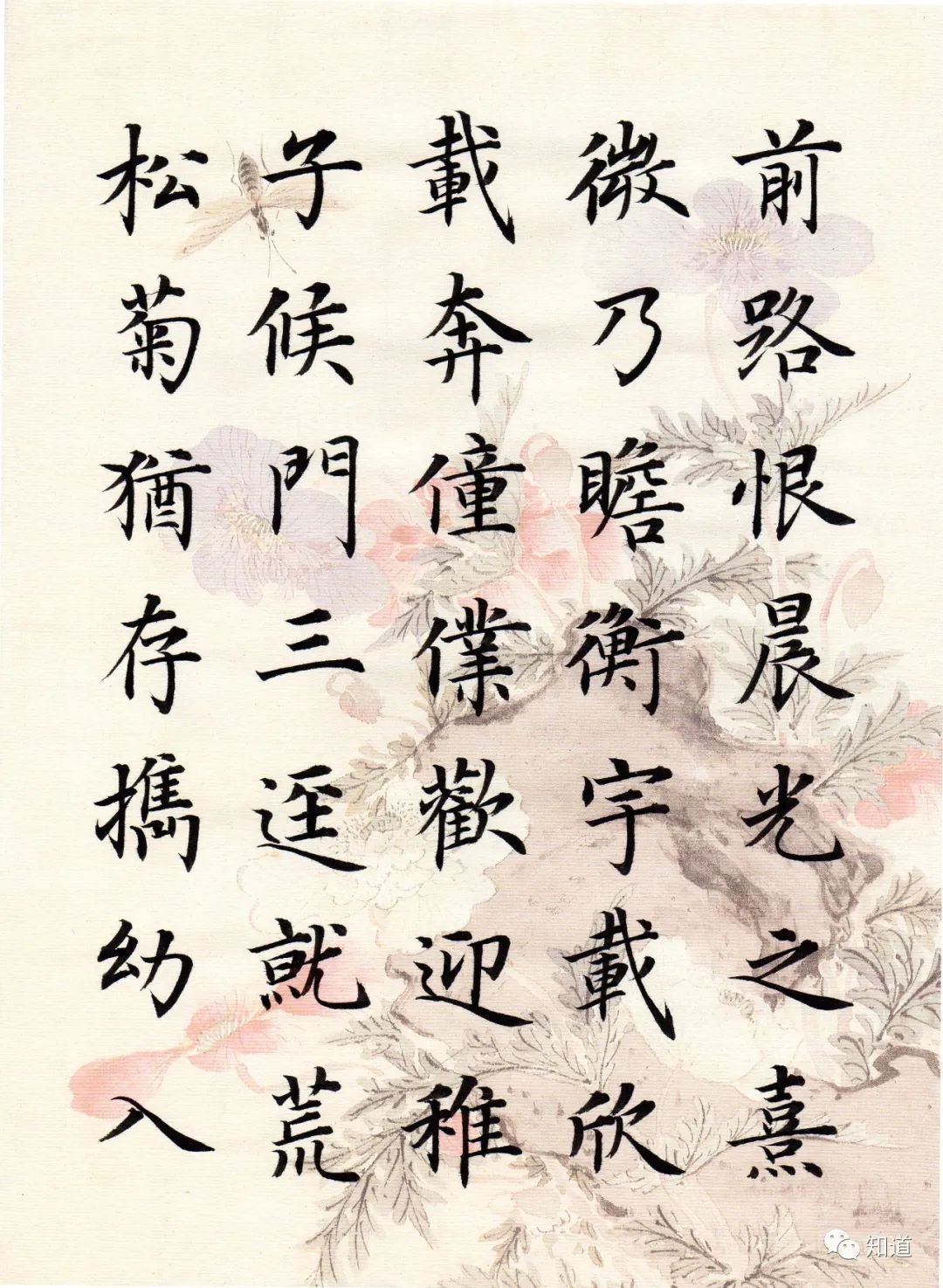 归去来兮辞#书法不可以自学,自学就等于自杀。书法培训老师都这么说