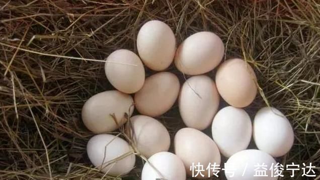 韭菜|奉劝大家：阳气不足的人，请你多吃3样食物，阳气快速恢复