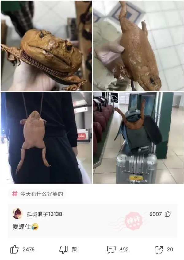 迪迦奥特曼|神回复：为什么迪迦奥特曼比其他奥特曼更出名？