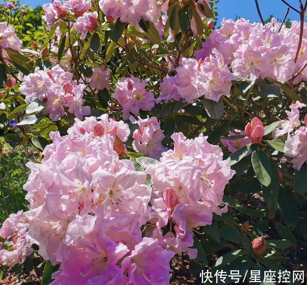 出头之日|哪些月份出生的人，在事业上有出头之日，再穷也能翻身，拥抱幸福