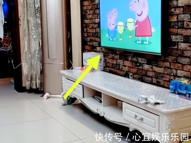 尿不湿|三个大老爷们,干不过一个穿尿不湿的,看到电视那一刻无话可说