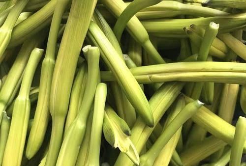 清热解毒|聪明人都爱吃以下食物,清热解毒,延缓衰老,明目清心