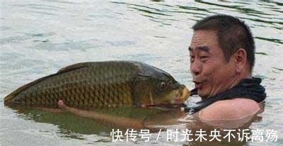 鱼儿|垂钓鲤鱼技巧之怎样钓鲤鱼分析