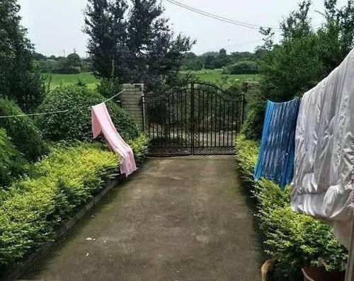 罗马柱|去男友乡下老家,他说的茅草房原来是别墅,感觉自己赚翻了