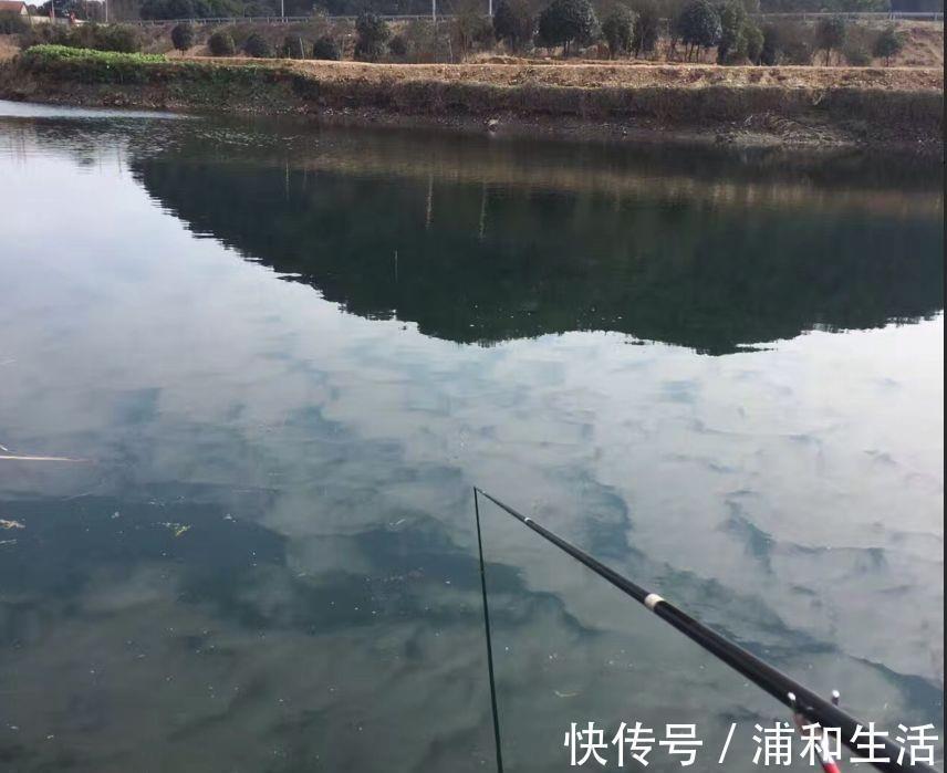 浮漂|盯紧你的浮漂!冬天野钓别等黑漂,这样的小信号也能中鱼