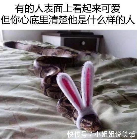 |「被窝段子20180915」社会很残酷 你要活得有温度