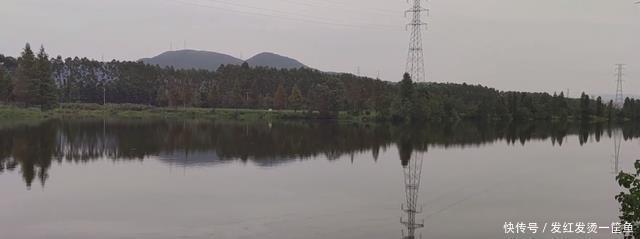 水下|因河里鲫鱼越来越少,温州钓鱼人放下水下相机,拍到惊人画面