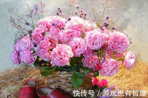 花朵|30个浓香月季品种,你喜欢哪一种养一棵满院飘香!