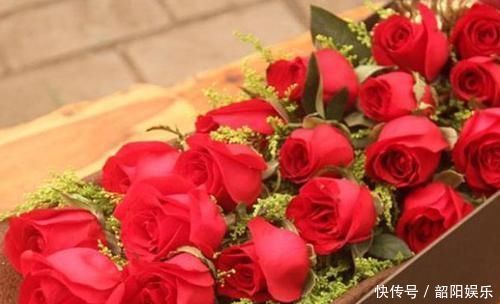 喜欢牡丹,不如养“名品玫瑰”卡罗拉,花色红艳似火,绚丽典雅