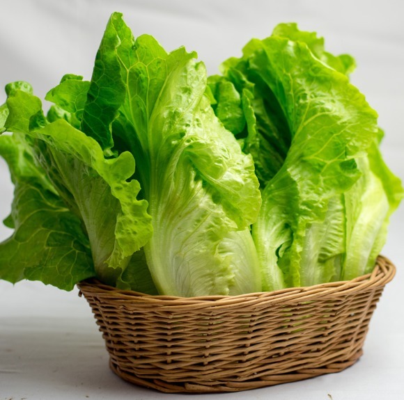 豆皮卷|生菜是“脂肪杀手”,做成豆皮卷,营养高,低脂刮油,吃出好身材