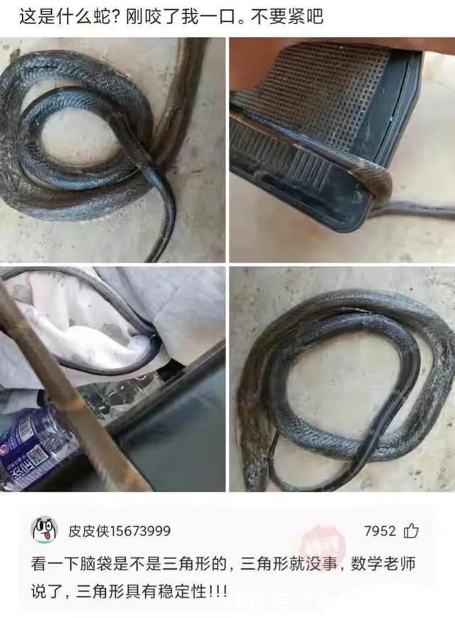 |搞笑合集:这是我的两位表弟,为人圆滑方正,希望能找个对象