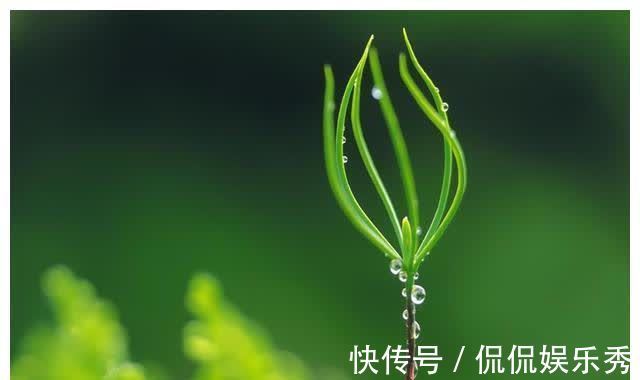 中老年人|春季养生,养的是肝脏,这些养生禁忌,要多加注意