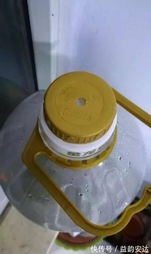 家里的塑料油桶别扔,有3个“妙用”,种菜效率高,扦插生根快