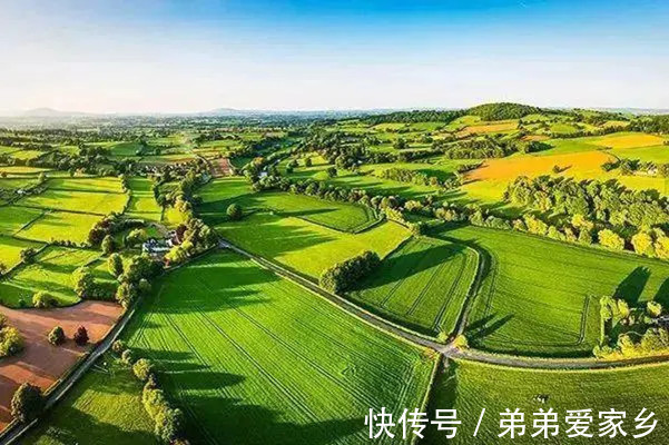区政府|济南:推进集体经营性建设用地入市