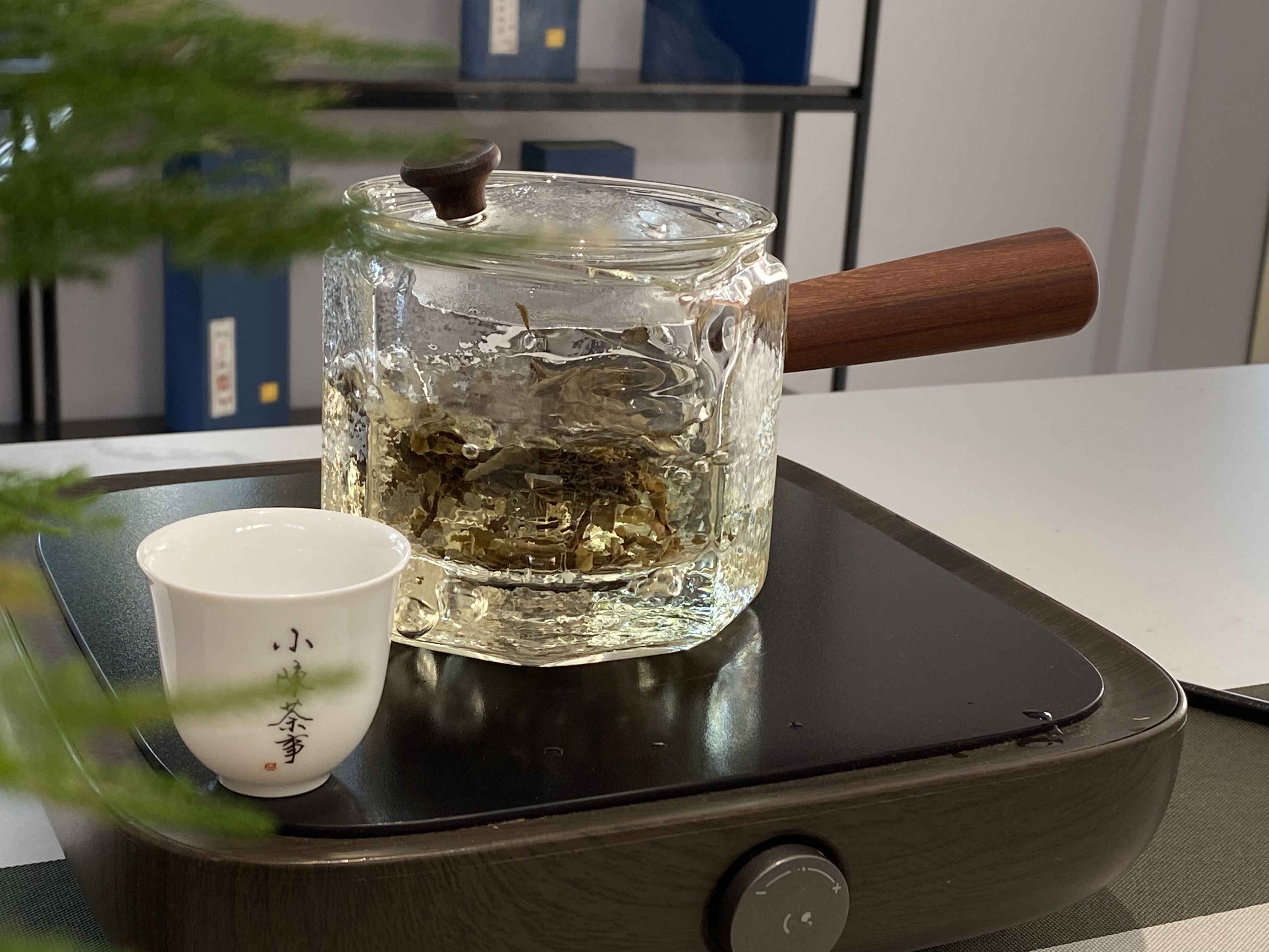 白茶泡着喝和煮着喝,究竟哪一个更香?听村姑陈说完,有收获