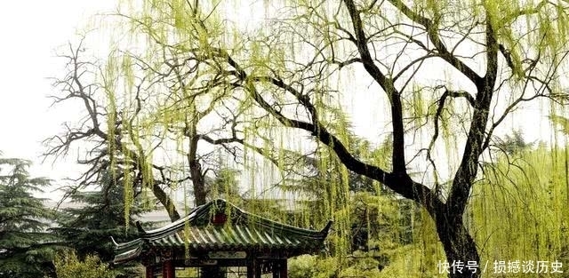 牛!他写诗劝白居易莫怕老,却激起天下所有老人的豪情,名句流传