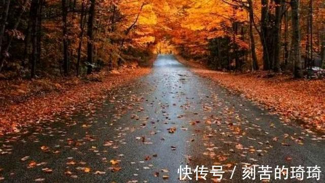 秋风&风婉约,雨薄凉,秋思缱绻秋韵静