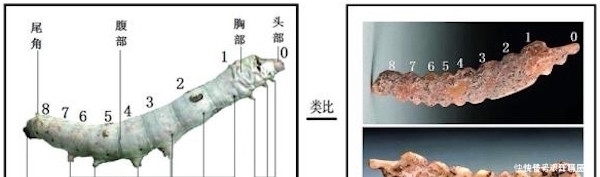 中国丝绸博物馆馆长:五千多年前的最早丝绸是如何发现的?