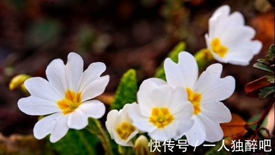 8月中旬，桃花旖旎，真情回归，冰释前嫌，甜蜜复合，余生都幸福