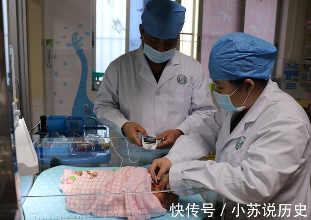 炉子|浙江“六项殡葬”基本服务将全免费!网友“死得起了”