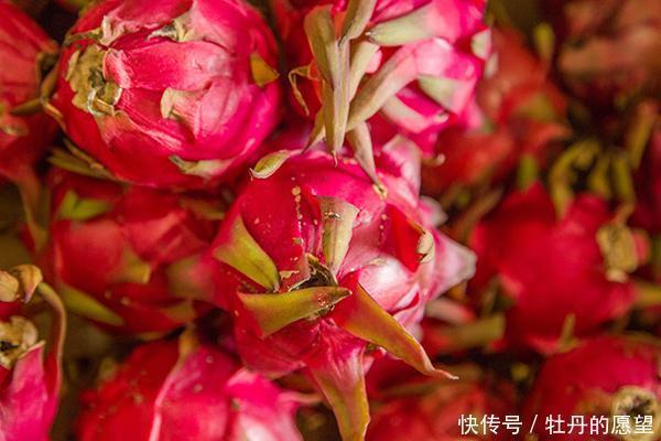 低糖|血糖高就不能吃水果了4种“低糖水果”,糖友可以放心下肚