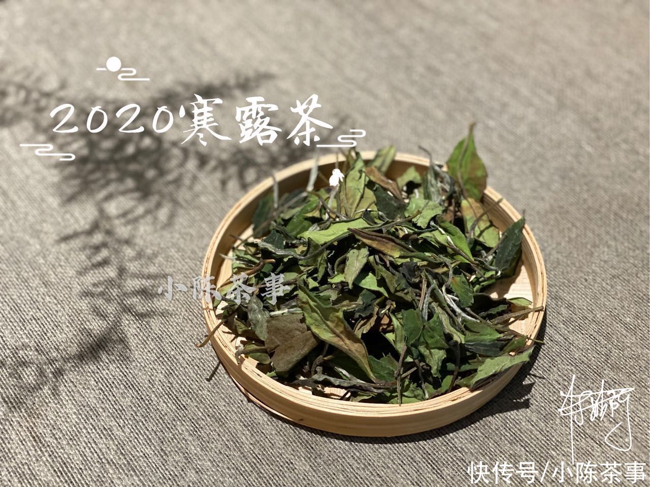 香气|不同类型的白茶之间，香气口感滋味有什么不同？一次性为你讲明白