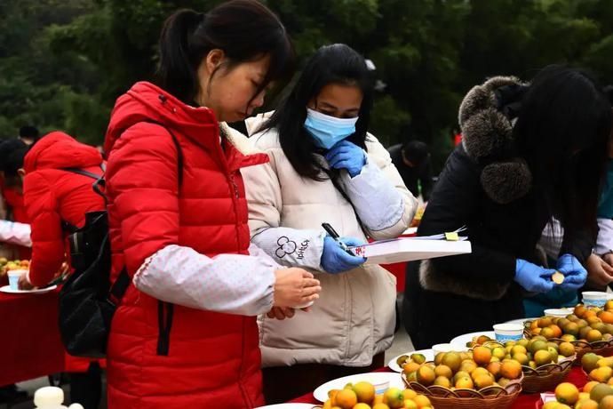  权威|【权威发布】谁是融安的金桔王？今天在这里进行初赛