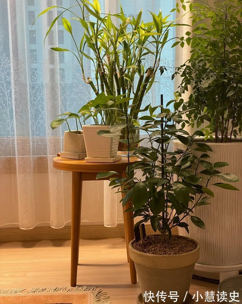 业主|93㎡的房子,业主遵循内心选择,简简单单的效果反而舒适有品位