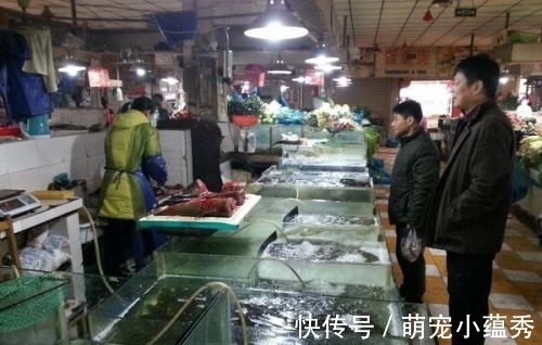 去市场买鱼,聪明人专挑这4种,好吃又便宜,鱼贩子都夸你是行家