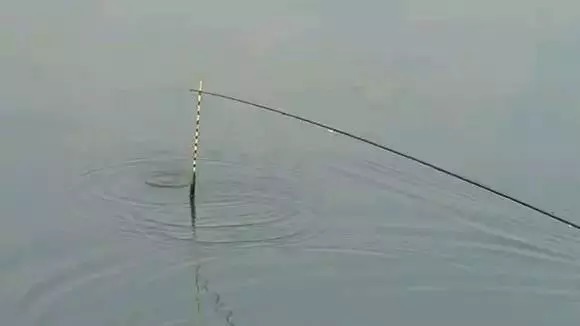 野钓新手开钓前,想要有渔获,这几件事得做到心里有数!