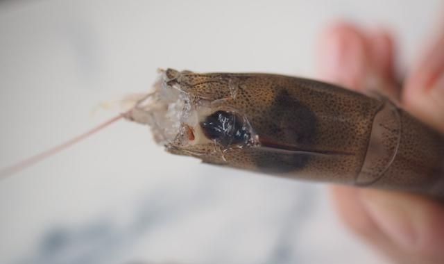 虾头不要扔这么做变废为宝,还鲜香的差点让人闪了舌头