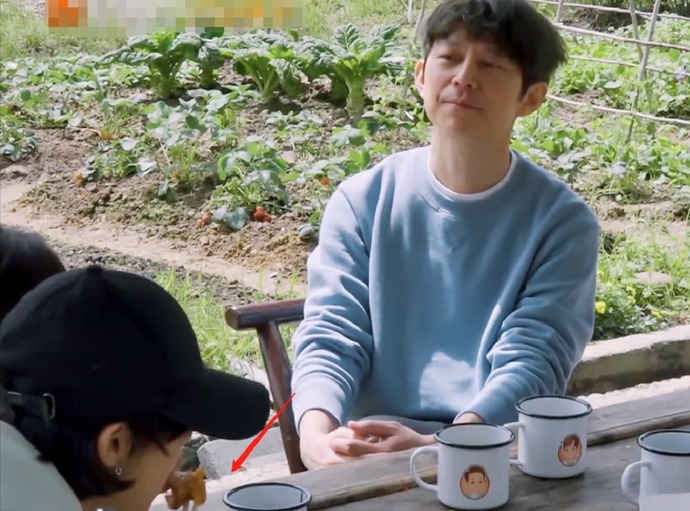 驾驶证 《向往5》又惹争议,黄磊做早餐饭量不够,彭昱畅张子枫吃盒饭