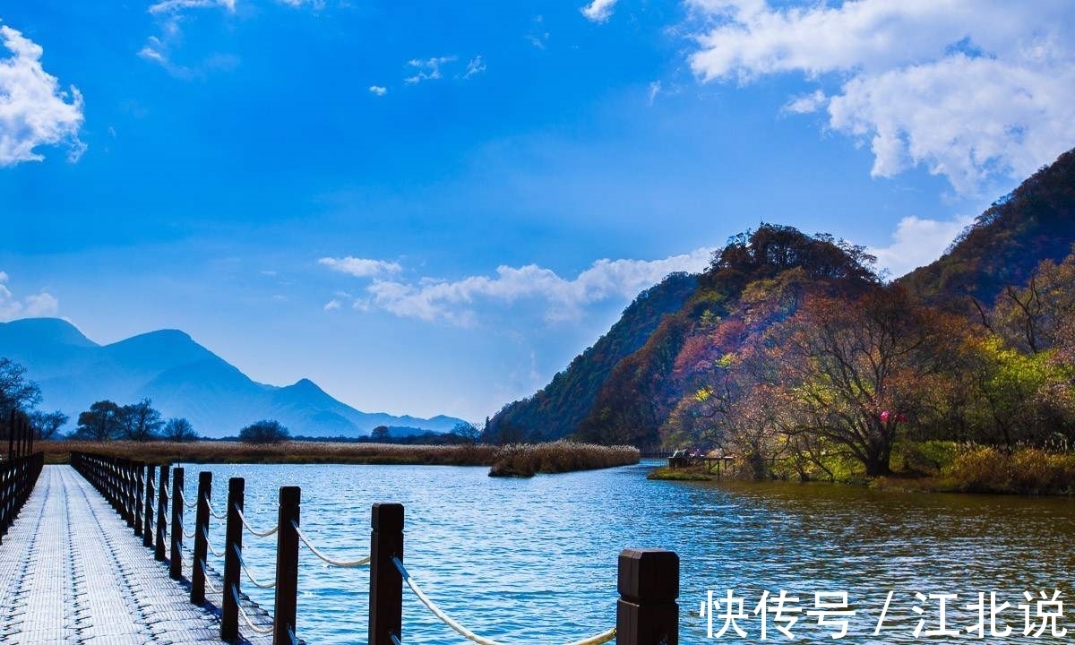 草色|「当代优秀原创诗词」陈静 诗词选