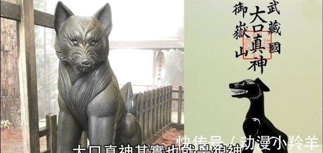 凯多|海贼王1020话:大和的果实能力公布!粉丝:怕啥来啥,真是白眼狼