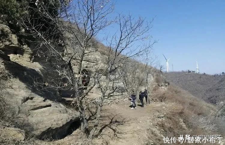 中年|春游镇风寺